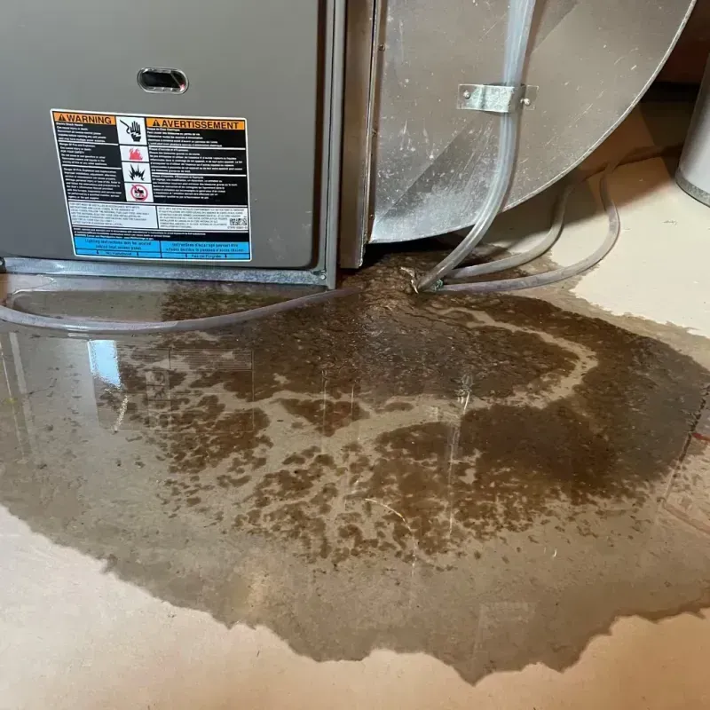 Appliance Leak Cleanup in York, PA